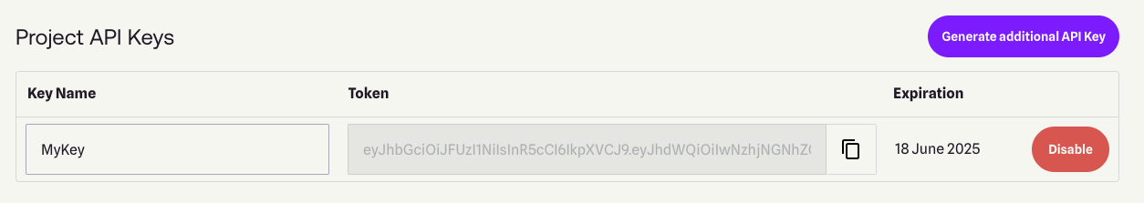 Project API Keys image