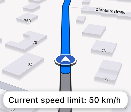Speed Text-to-speech Warnings image