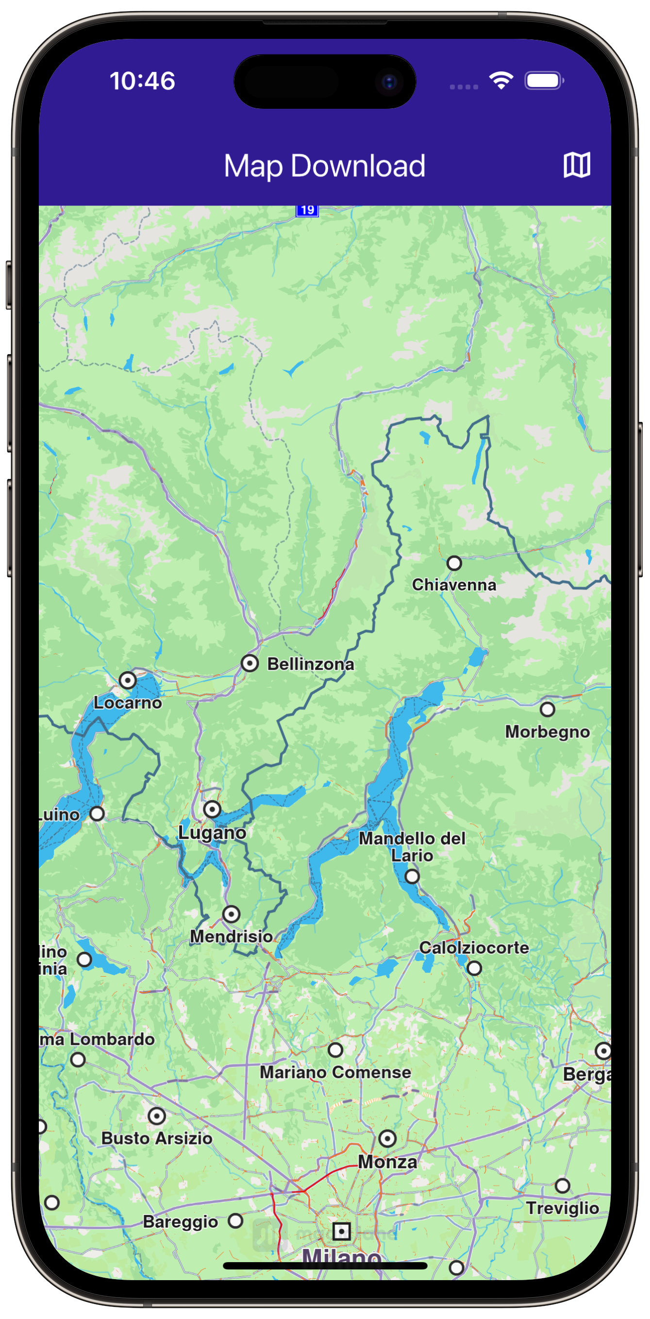 map_download - example flutter screenshot