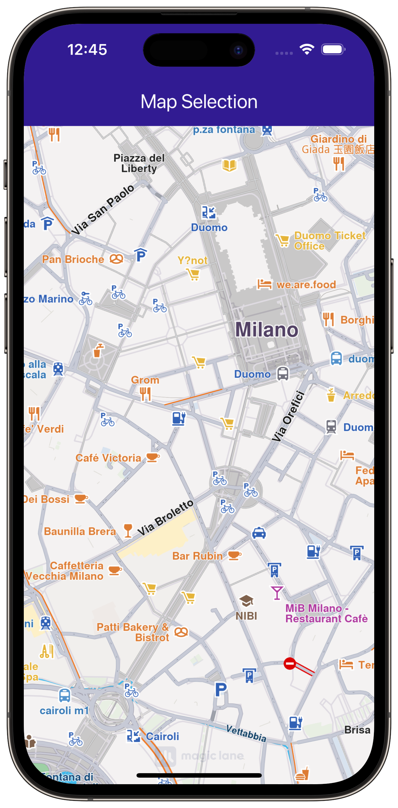 map_selection - example flutter screenshot