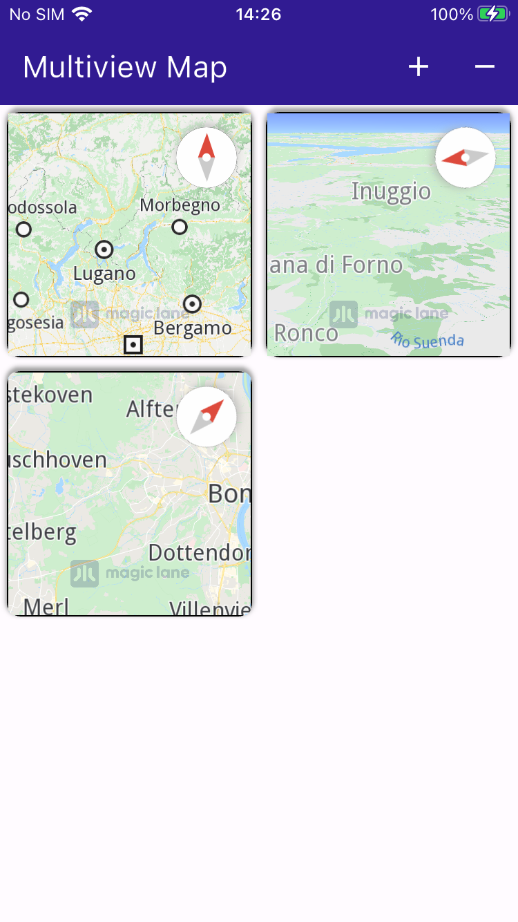multiview_map - example flutter screenshot