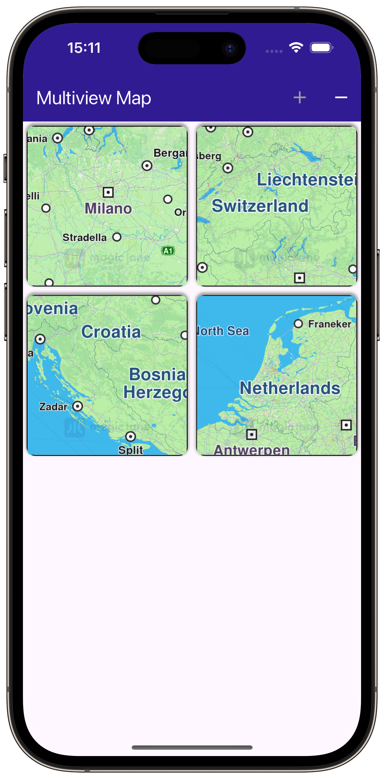 multiview_map - example flutter screenshot